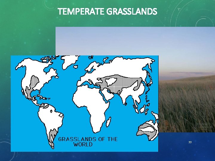 TEMPERATE GRASSLANDS 33 