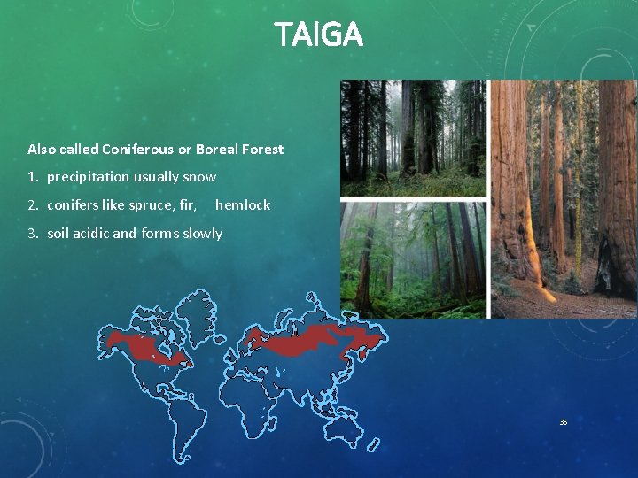 TAIGA Also called Coniferous or Boreal Forest 1. precipitation usually snow 2. conifers like