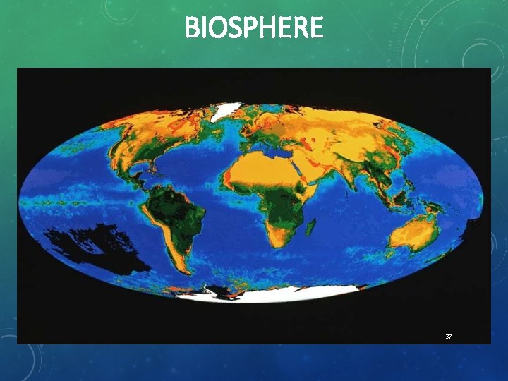 BIOSPHERE 37 