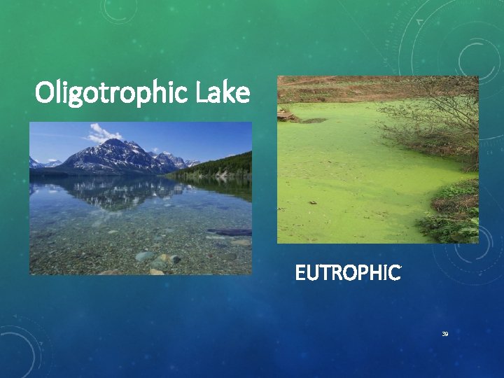 Oligotrophic Lake EUTROPHIC 39 