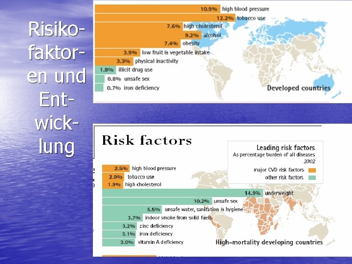 Risikofaktoren und Entwicklung 