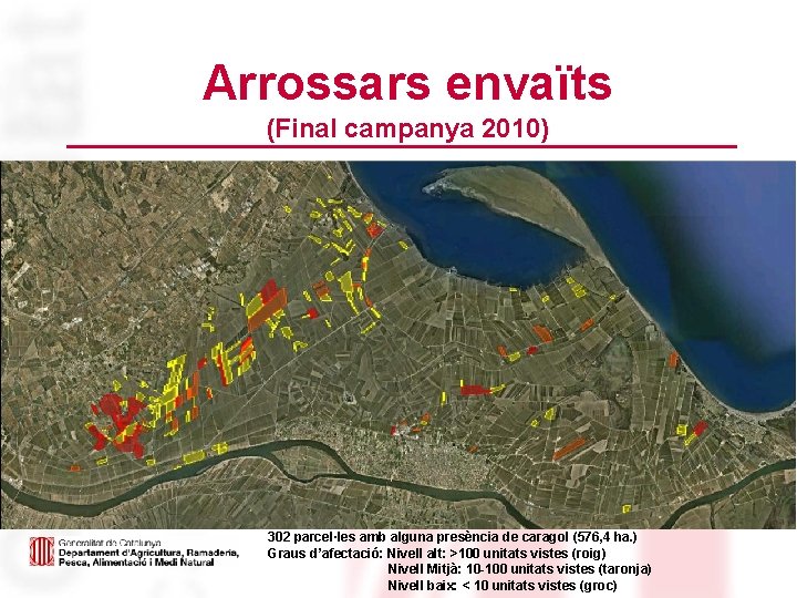 Arrossars envaïts (Final campanya 2010) 302 parcel·les amb alguna presència de caragol (576, 4
