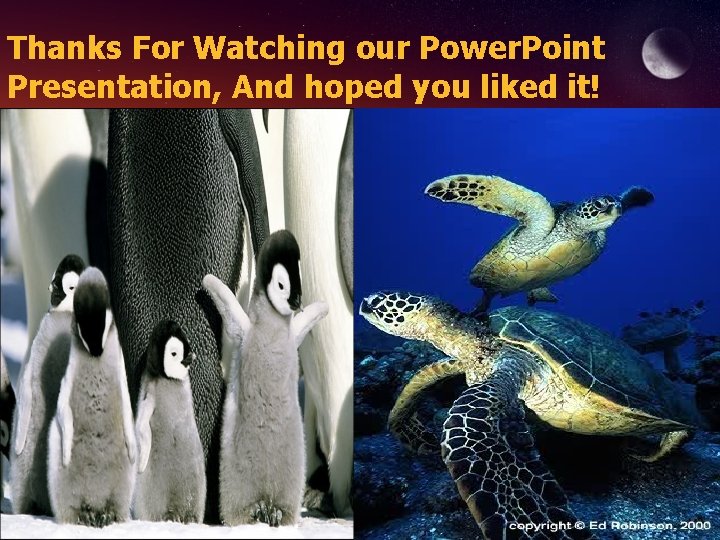 Thanks For Watching our Power. Point Presentation, And hoped you liked it! 