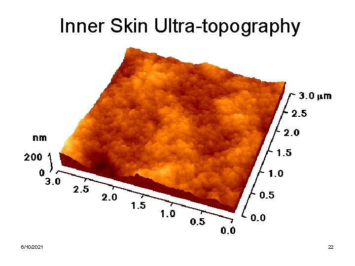Inner Skin Ultra-topography 6/10/2021 22 