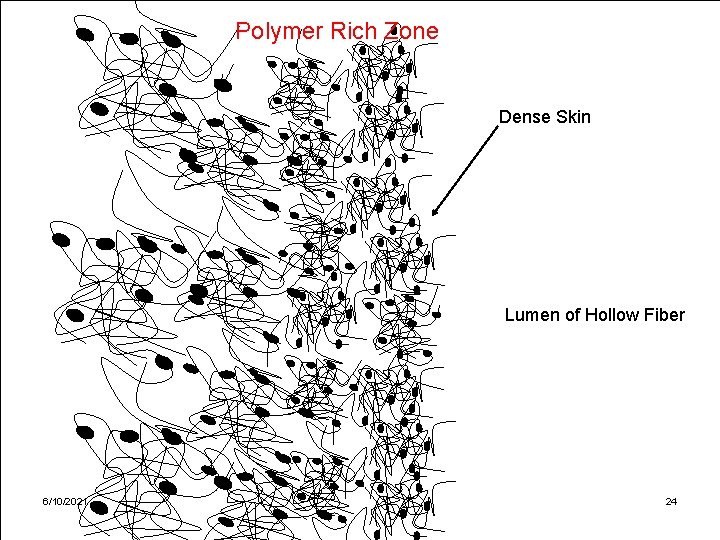 Polymer Rich Zone Dense Skin Lumen of Hollow Fiber 6/10/2021 24 