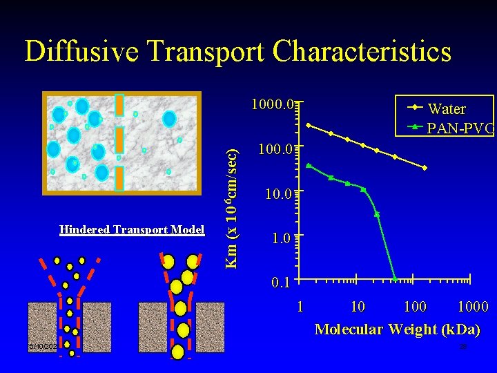 Diffusive Transport Characteristics Hindered Transport Model Km (x 10 6 cm/sec) 1000. 0 Water