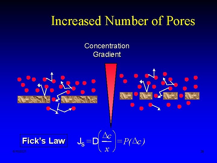 Increased Number of Pores Concentration Gradient Fick’s Law 6/10/2021 æ Dc ö Js =