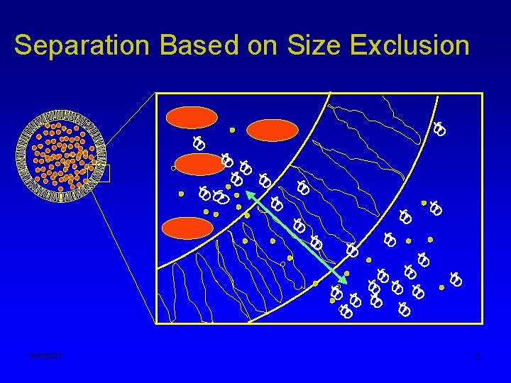 Separation Based on Size Exclusion 6/10/2021 5 