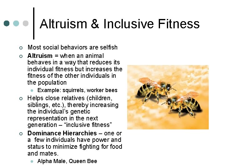 Altruism & Inclusive Fitness ¢ ¢ Most social behaviors are selfish Altruism = when