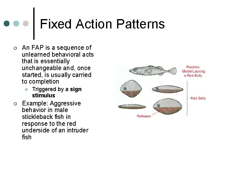 Fixed Action Patterns ¢ An FAP is a sequence of unlearned behavioral acts that