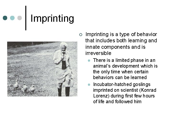 Imprinting ¢ Imprinting is a type of behavior that includes both learning and innate