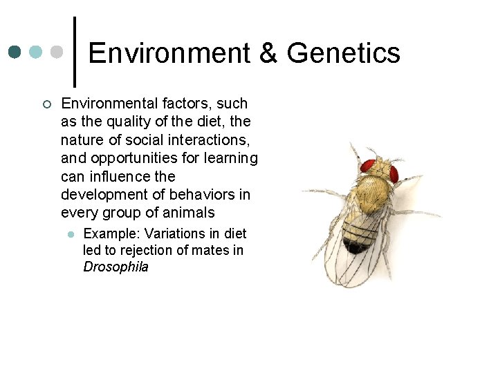 Environment & Genetics ¢ Environmental factors, such as the quality of the diet, the