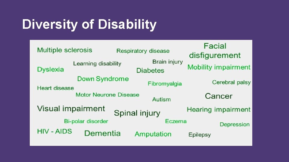 Diversity of Disability 