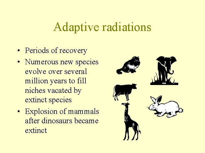 Adaptive radiations • Periods of recovery • Numerous new species evolve over several million