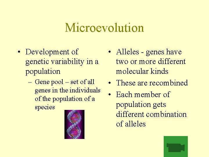 Microevolution • Development of genetic variability in a population • Alleles - genes have