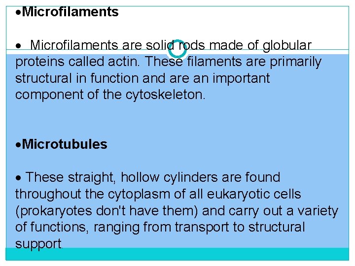 ·Microfilaments · Microfilaments are solid rods made of globular proteins called actin. These filaments