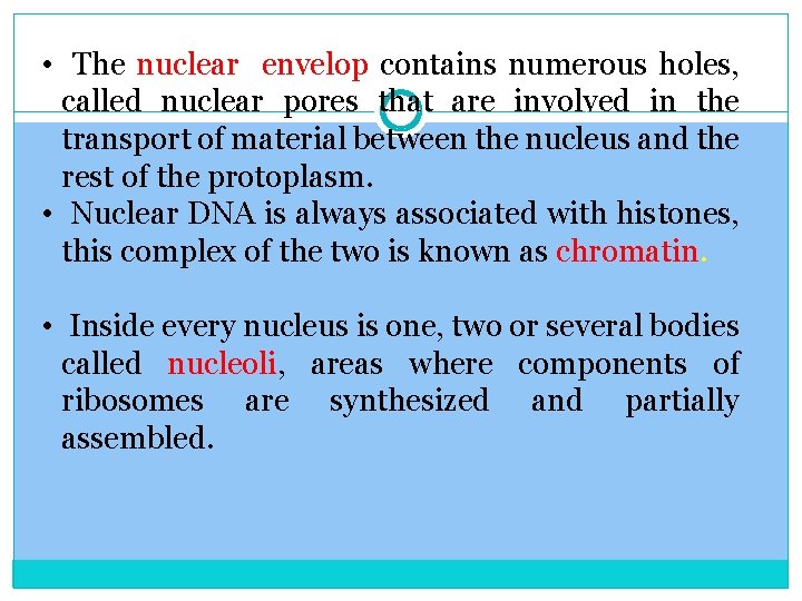  • The nuclear envelop contains numerous holes, called nuclear pores that are involved