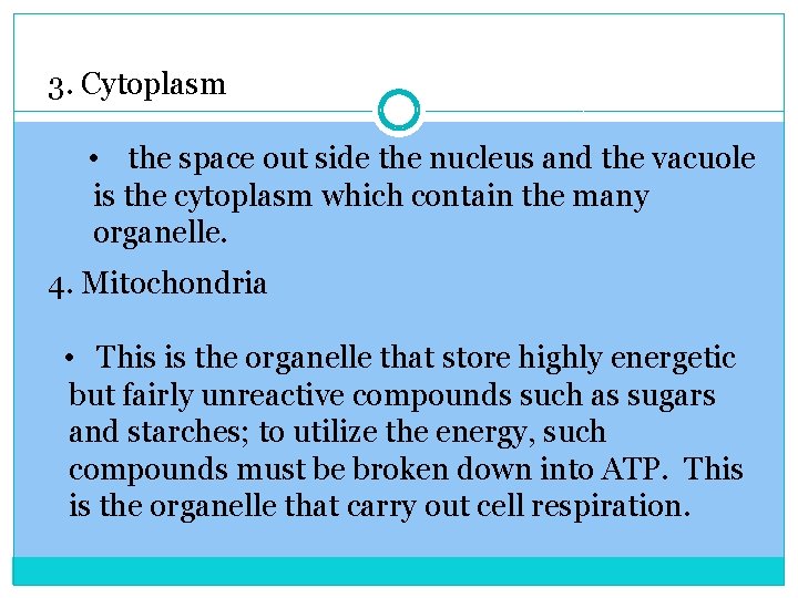 3. Cytoplasm • the space out side the nucleus and the vacuole is the