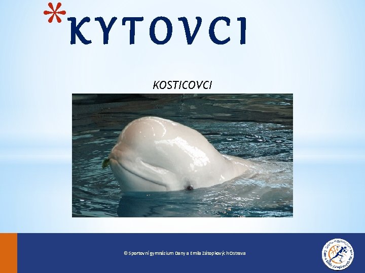 *K Y T O V C I KOSTICOVCI © Sportovní gymnázium Dany a Emila