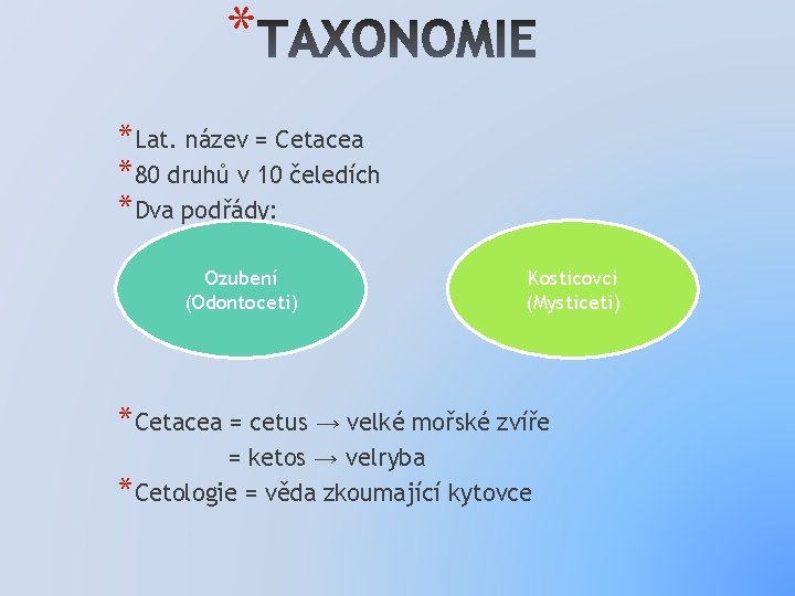 * *Lat. název = Cetacea *80 druhů v 10 čeledích *Dva podřády: Ozubení (Odontoceti)