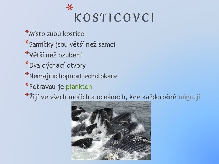 * *Místo zubů kostice *Samičky jsou větší než samci *Větší než ozubení *Dva dýchací