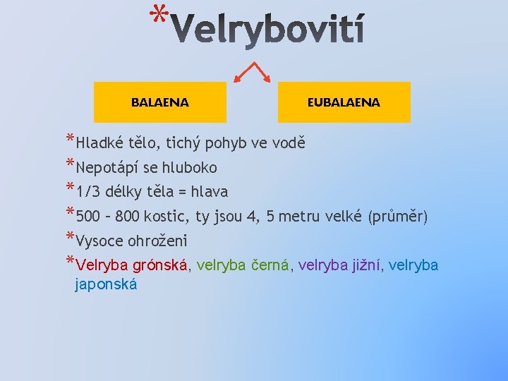 * BALAENA EUBALAENA *Hladké tělo, tichý pohyb ve vodě *Nepotápí se hluboko *1/3 délky