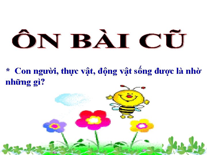* Con người, thực vật, động vật sống được là nhờ những gì? 