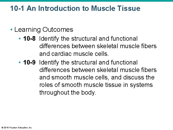 10 -1 An Introduction to Muscle Tissue • Learning Outcomes • 10 -8 Identify