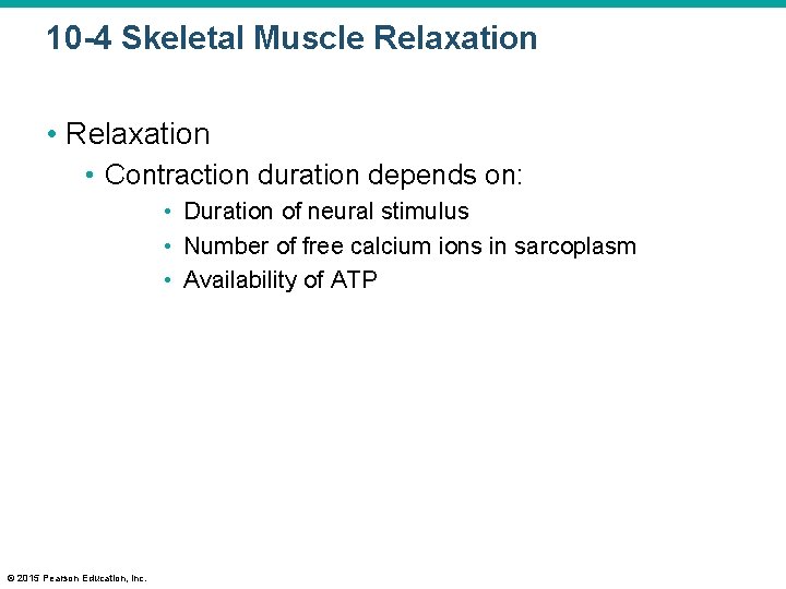 10 -4 Skeletal Muscle Relaxation • Contraction duration depends on: • Duration of neural