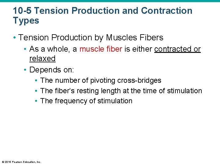 10 -5 Tension Production and Contraction Types • Tension Production by Muscles Fibers •