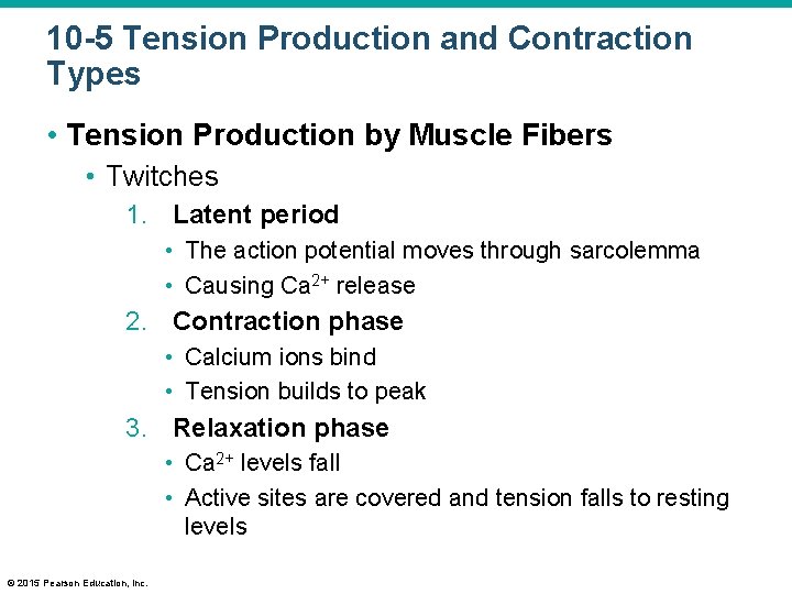 10 -5 Tension Production and Contraction Types • Tension Production by Muscle Fibers •