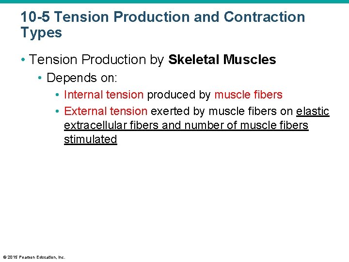 10 -5 Tension Production and Contraction Types • Tension Production by Skeletal Muscles •