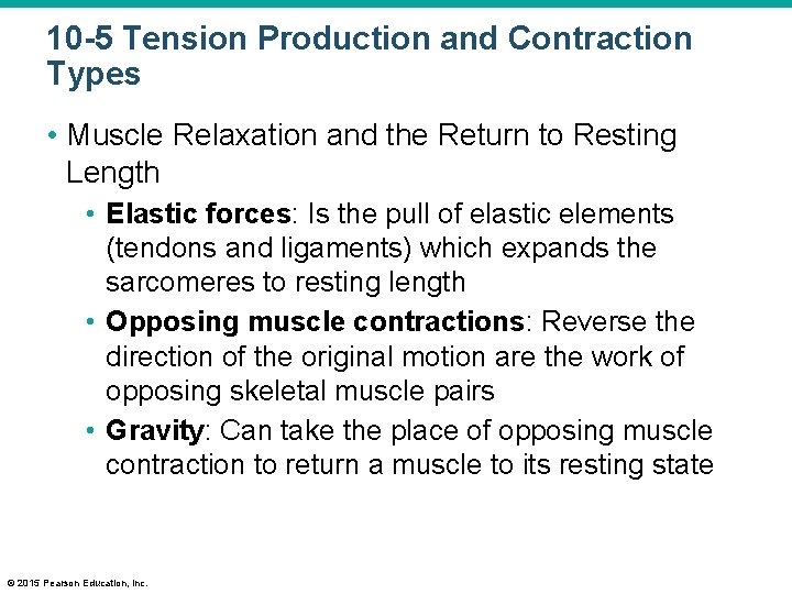 10 -5 Tension Production and Contraction Types • Muscle Relaxation and the Return to