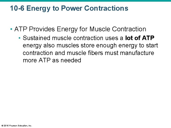 10 -6 Energy to Power Contractions • ATP Provides Energy for Muscle Contraction •