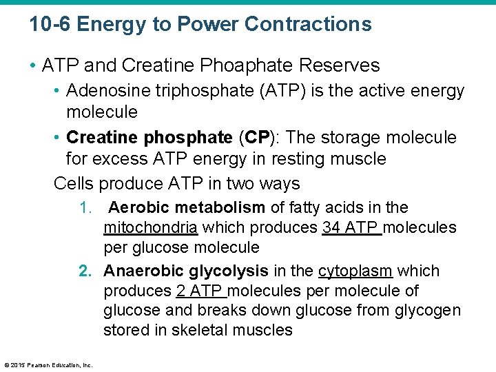 10 -6 Energy to Power Contractions • ATP and Creatine Phoaphate Reserves • Adenosine