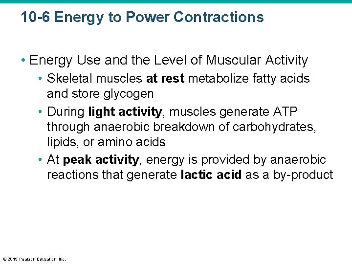 10 -6 Energy to Power Contractions • Energy Use and the Level of Muscular