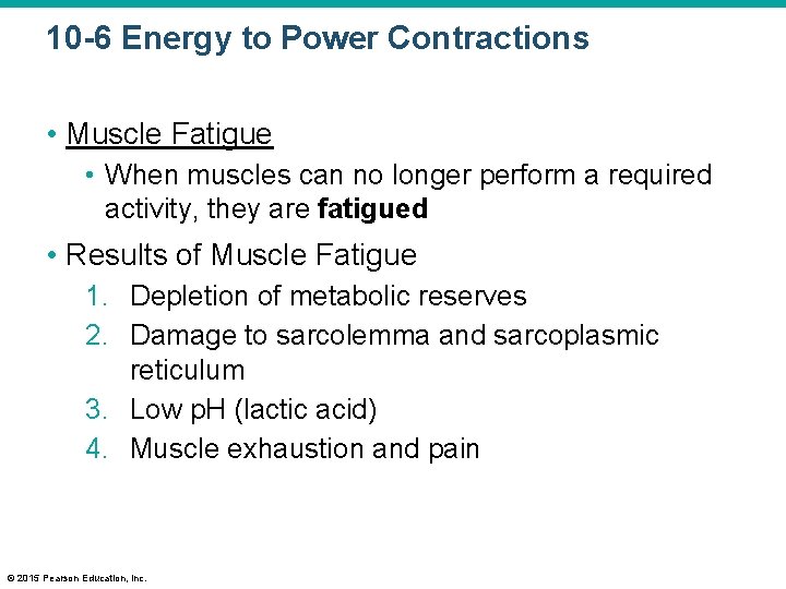 10 -6 Energy to Power Contractions • Muscle Fatigue • When muscles can no