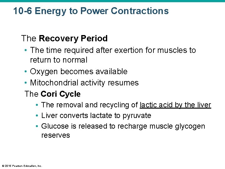 10 -6 Energy to Power Contractions The Recovery Period • The time required after
