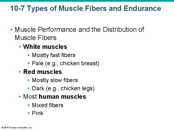 10 -7 Types of Muscle Fibers and Endurance • Muscle Performance and the Distribution