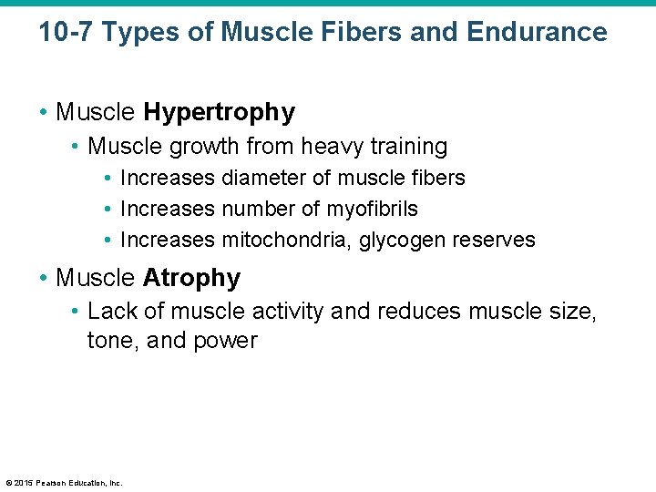 10 -7 Types of Muscle Fibers and Endurance • Muscle Hypertrophy • Muscle growth