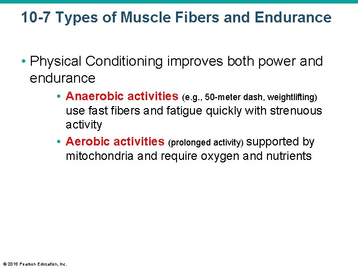 10 -7 Types of Muscle Fibers and Endurance • Physical Conditioning improves both power