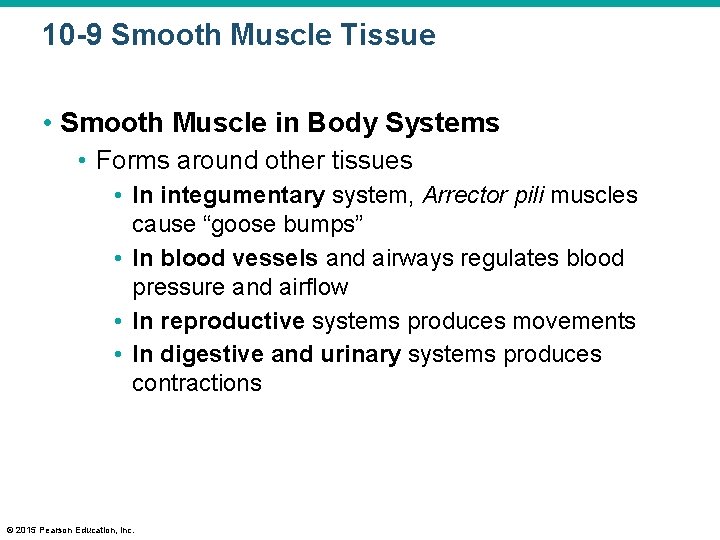 10 -9 Smooth Muscle Tissue • Smooth Muscle in Body Systems • Forms around