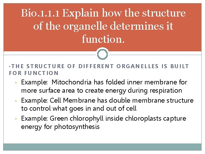 Bio. 1. 1. 1 Explain how the structure of the organelle determines it function.