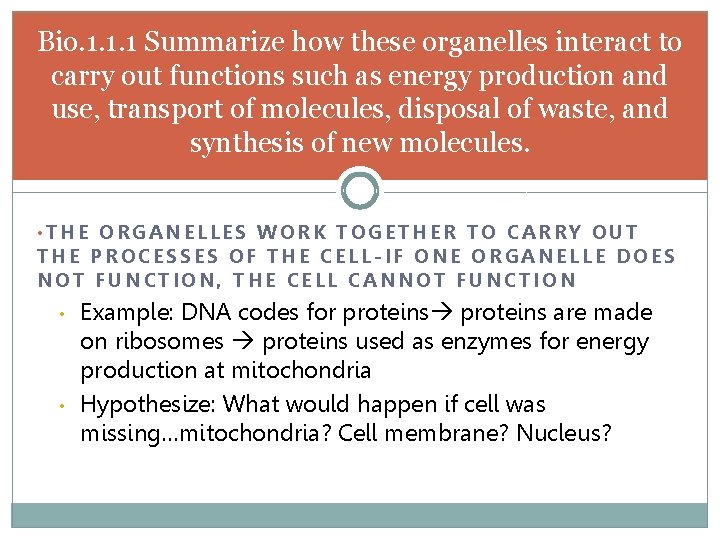 Bio. 1. 1. 1 Summarize how these organelles interact to carry out functions such