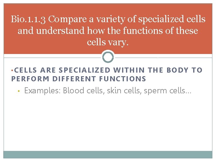 Bio. 1. 1. 3 Compare a variety of specialized cells and understand how the