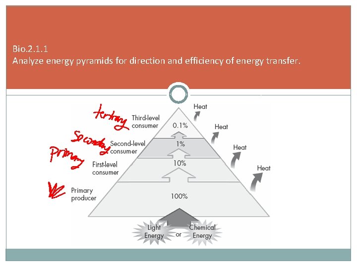 Bio. 2. 1. 1 Analyze energy pyramids for direction and efficiency of energy transfer.