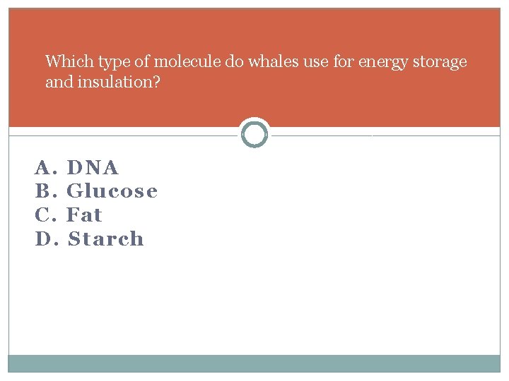 Which type of molecule do whales use for energy storage and insulation? A. B.