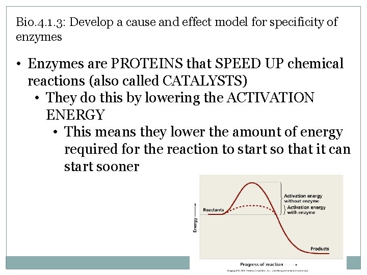 Bio. 4. 1. 3: Develop a cause and effect model for specificity of enzymes