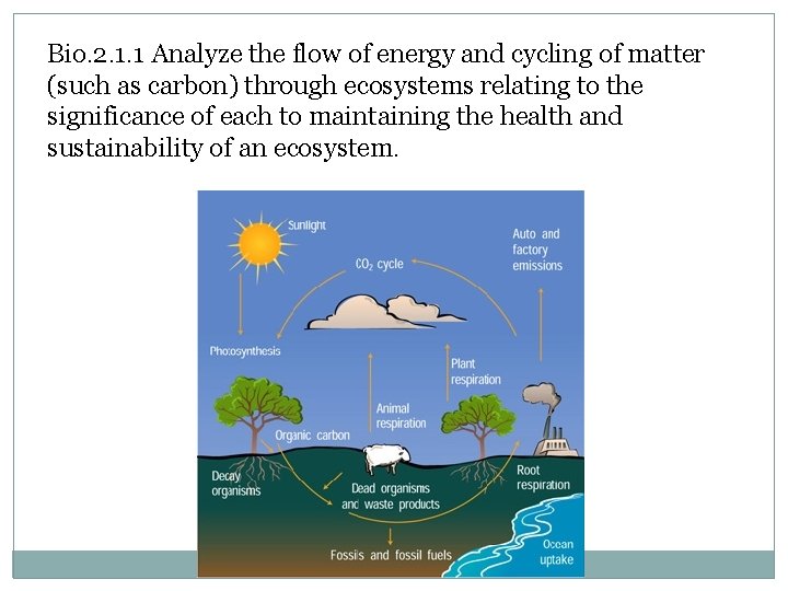 Bio. 2. 1. 1 Analyze the flow of energy and cycling of matter (such