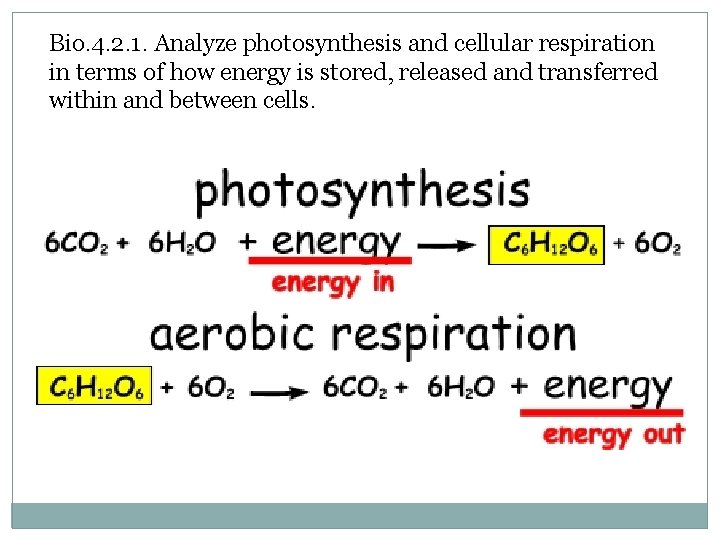 Bio. 4. 2. 1. Analyze photosynthesis and cellular respiration in terms of how energy